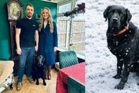 Lindsey a Chris zrušili svatbu: Všechny peníze obětují na léčbu milovaného pejska