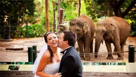 Jen málo novomanželů se může pochlubit, že jim byl na svatbě za svědka slon