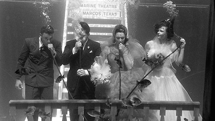 Svatba pod hladinou v roce 1954