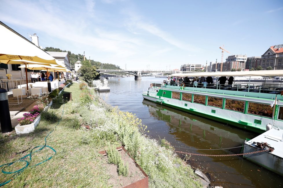 Svatba Karlose Vémoly a Lely Ceterové