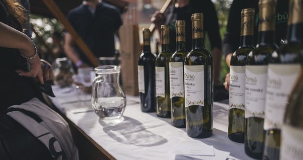 Svatováclavské vinobraní