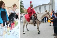 Svatý Martin letos osedlal dřív: Na jih Moravy vyrazil ochutnávat víno s předstihem