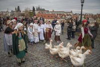 Svatomartinské slavnosti v Praze: Kam vyrazit na husu a víno?