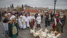 Svatomartinské slavnosti v Praze: Kam vyrazit na husu a víno?