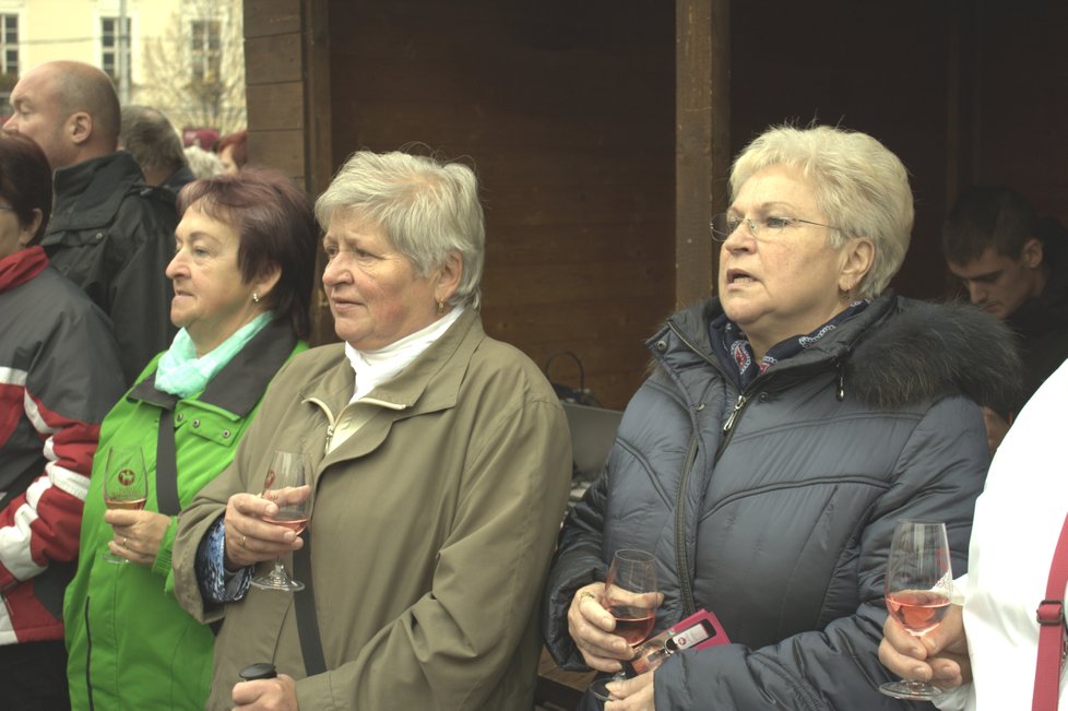 V nabídce je 100 druhů svatomartinských vín od 100 různých vinařů.