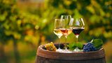 Přiťukněte si se Svatomartinským vínem! Jak ho správně spárovat s jídlem?