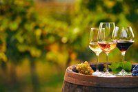 Přiťukněte si se Svatomartinským vínem! Jak ho správně spárovat s jídlem?