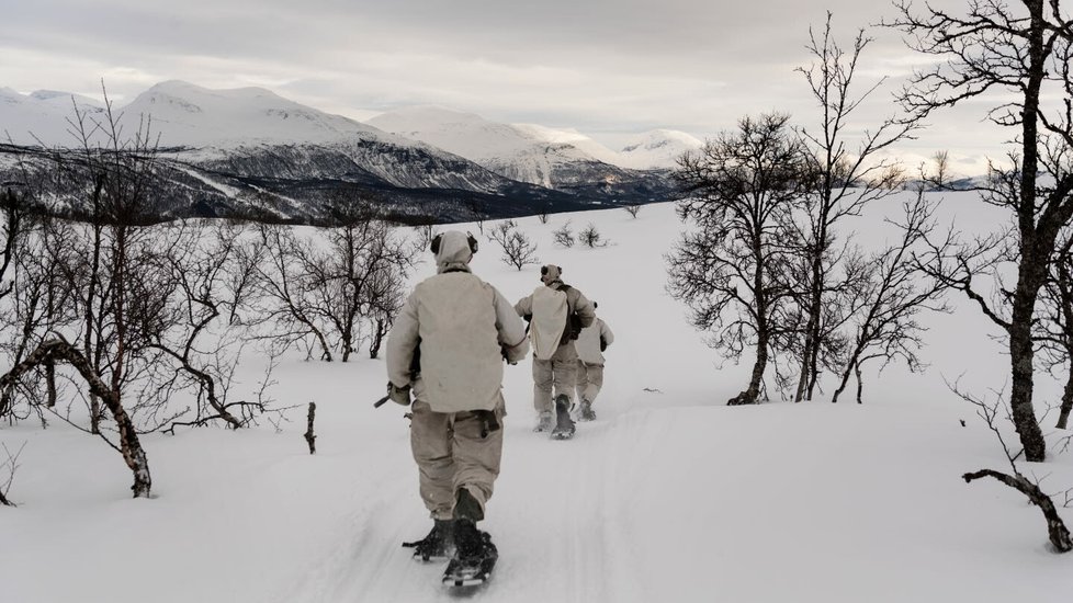 Vojáci ze Švédska na cvičení NATO, březen 2022