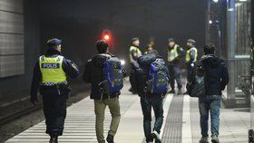 Do Švédska loni dorazilo zhruba 170 tisíc migrantů.