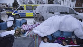 Do Švédska loni dorazilo zhruba 170 tisíc migrantů.