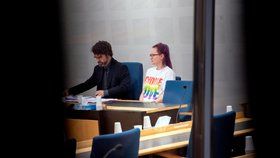 Ve Švédsku dnes začal soudní proces s mladou aktivistkou, která loni v červenci v letadle bránila vyhoštění odmítnutého žadatele o azyl z Afghánistánu. (4. 2. 2019)