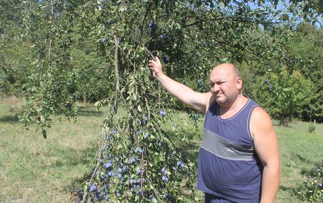 Martin Drábek ukazuje polámané větve.