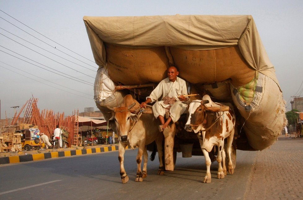 Muž veze obří náklad ulicemi pákistánského Faisalabadu