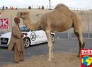 Jak se jezdí ve Spojených arabských emirátech: Řidičův rajský svět