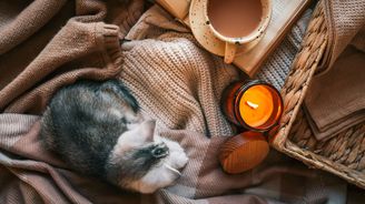 Bye Bye, Pumpkin Spice: 5 podzimních svíček s vůní dřeva, pepře nebo růže Bye Bye, Pumpkin Spice: 5 podzimních svíček s vůní dřeva, pepře nebo růže