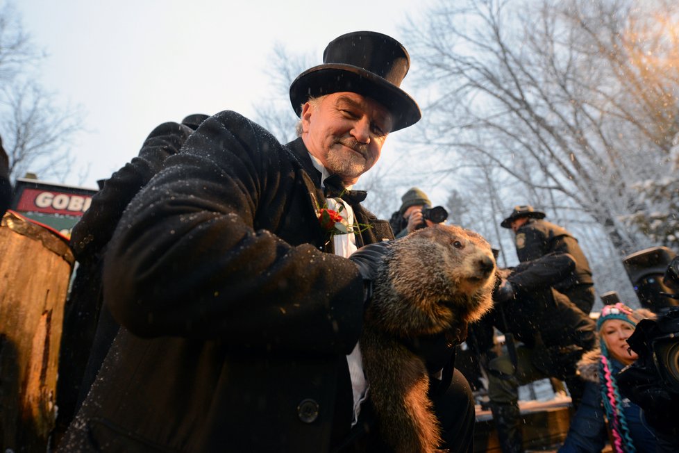 Svišť Phil při tradičním ceremoniálu předpověděl, že jaro přijde brzy (2.2.2020).