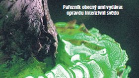 Pařezník obecný umí vydávat opravdu intenzivní světlo