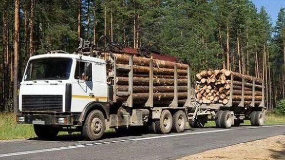 Jak v Rusku svážejí dřevo: Bez nákladních aut to nejde!