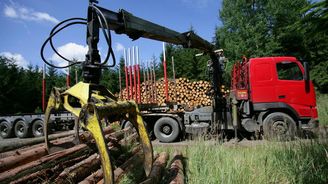 Zisk státních lesů letos klesne. Kvůli církevním restitucím