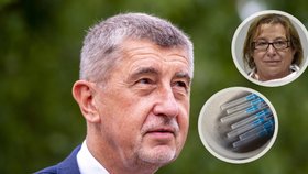 Premiér Andrej Babiš (ANO) o plánech vlády: Projednají se vakcíny i hlavní hygienička.