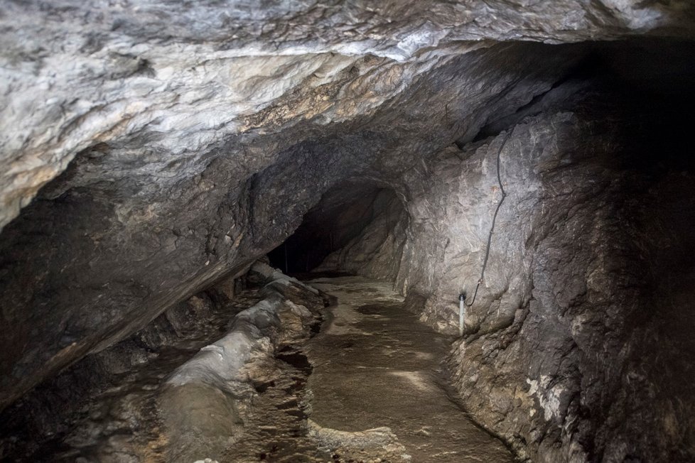 Turisté, kteří se několik dní kvůli navýšení vodní hladiny nemohli dostat ze švýcarského jeskynního systému Hölloch, jsou opět volní