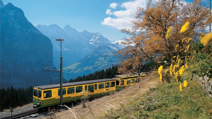 Na jaře v oblasti Jungfraubahn všechno kvete, zatímco v zimě v okolí těchto alpských železnic najdete obrovský lyžařský areál, jehož součástí je i legendární sjezdovka Lauberhorn.