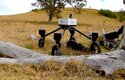 SwagBot: Robofarmář na každou moderní farmu!