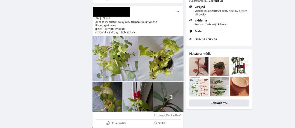 Facebooková skupina Green Swap, kde si Češi vyměňují pokojové rostliny.