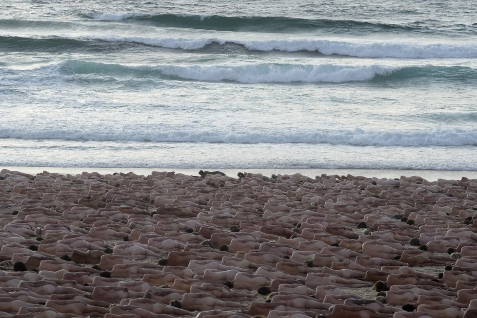 Stovky naháčů se sešly na pláži Bondi v Austrálii.