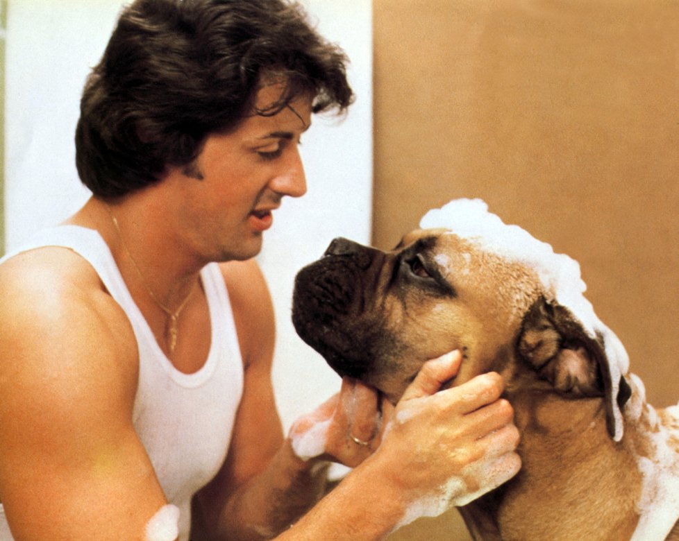 1979 - Film Rocky: Butkuse procpal Sly i do prvních dvou do prvních dvou dílů Rockyho.