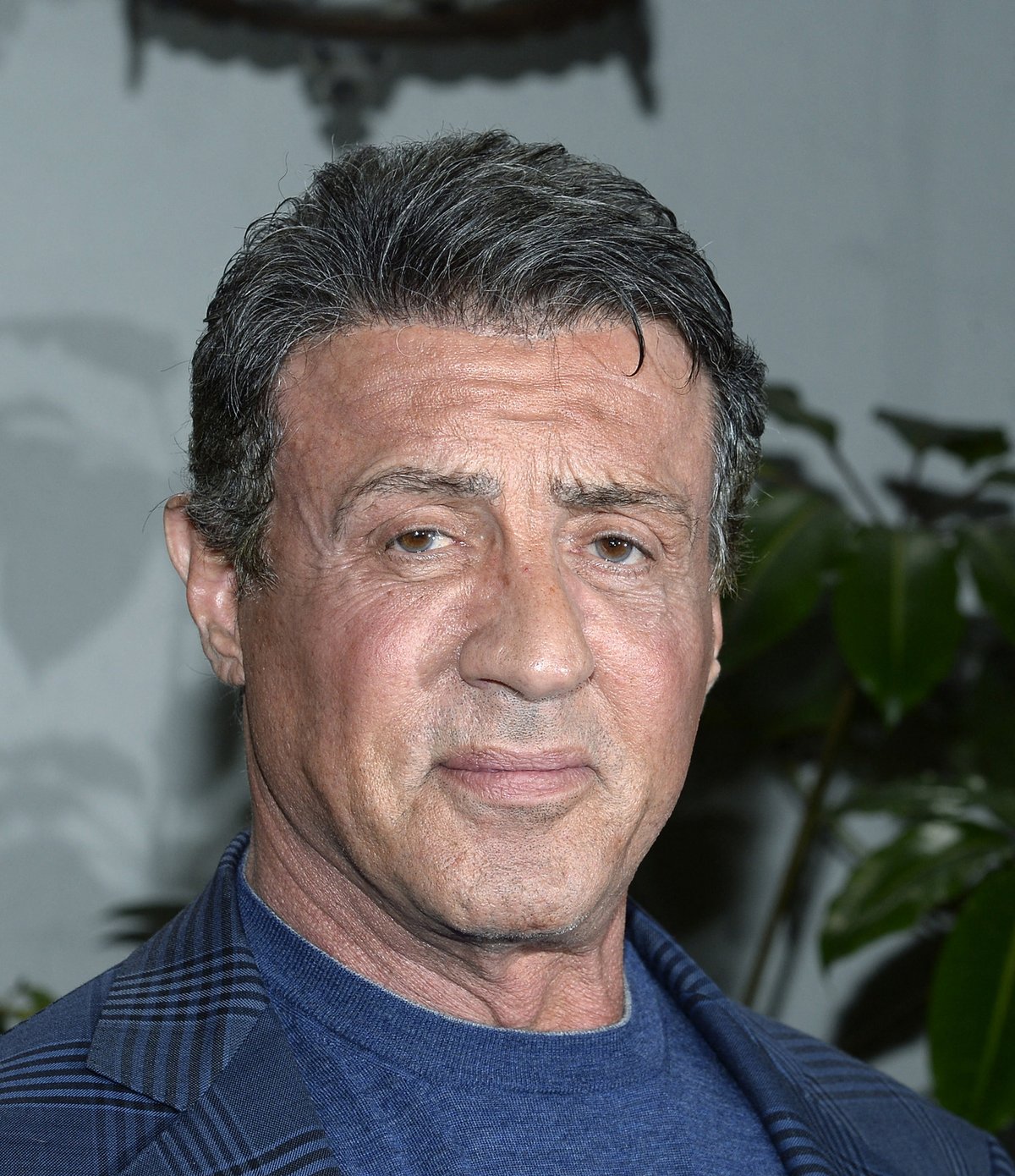 Sylvester Stallone