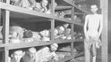 Osvobození vězni v Buchenwaldu hledí z dřevěných paland. Budoucí držitel Nobelovy ceny za mír Elie Wiesel je ve druhé řadě paland sedmý zleva u vertikálního trámu. (United States Holocaust Memorial Museum)