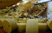 Strašlivá smrt pod horou parmezánu: Itala pohřbilo 16 600 kol sýra