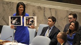 Velvyslankyně USA při OSN Nikki Haleyová s děsivými fotkami ze Sýrie