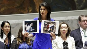 Velvyslankyně USA při OSN Nikki Haleyová s děsivými fotkami ze Sýrie