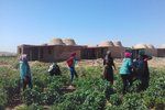 Džinwar - severosyrská vesnice pouze pro ženy