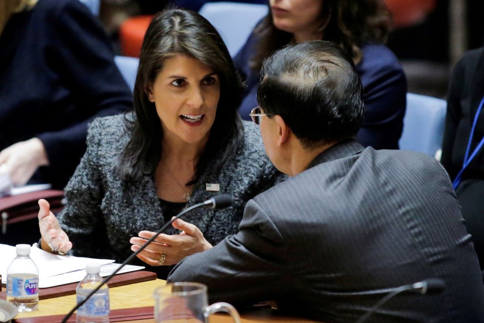 Rada bezpečnosti OSN schválila rezoluci o příměří v Sýrii: Na snímku zástupkyně USA