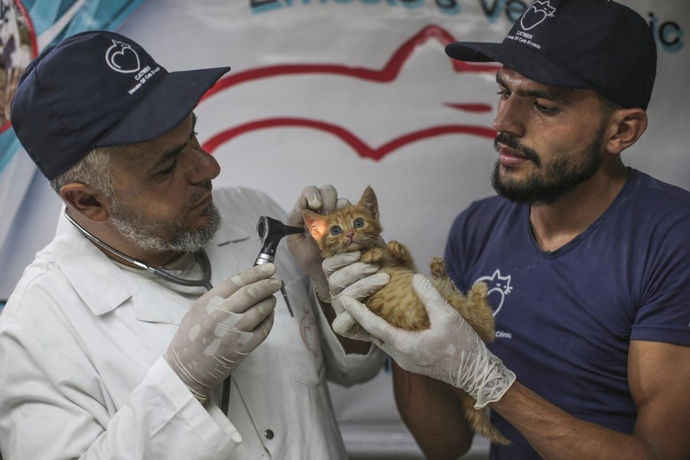 Veterinář žije přímo v Džalílově útulku Ernesto.