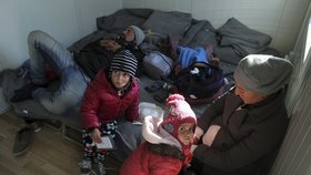 Syrská uprchlická rodinka v Srbsku