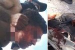Záběry z šokujícího videa ukazují pilota syrské helikoptéry, kterému prý povstalci uřízli hlavu