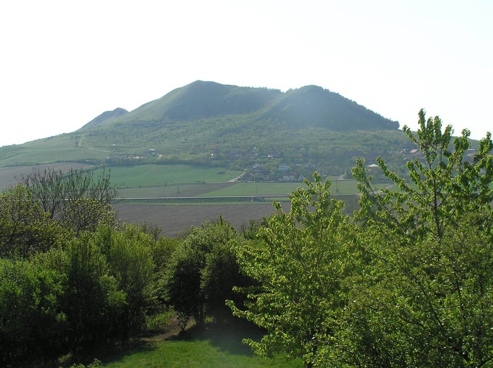 Kopec Raná. Při pohledu z úbočí sousedního Oblíku je vidět celá Ranská hora i s obcí Raná na úpatí. Lokality se sysly jsou z tohoto pohledu vlevo