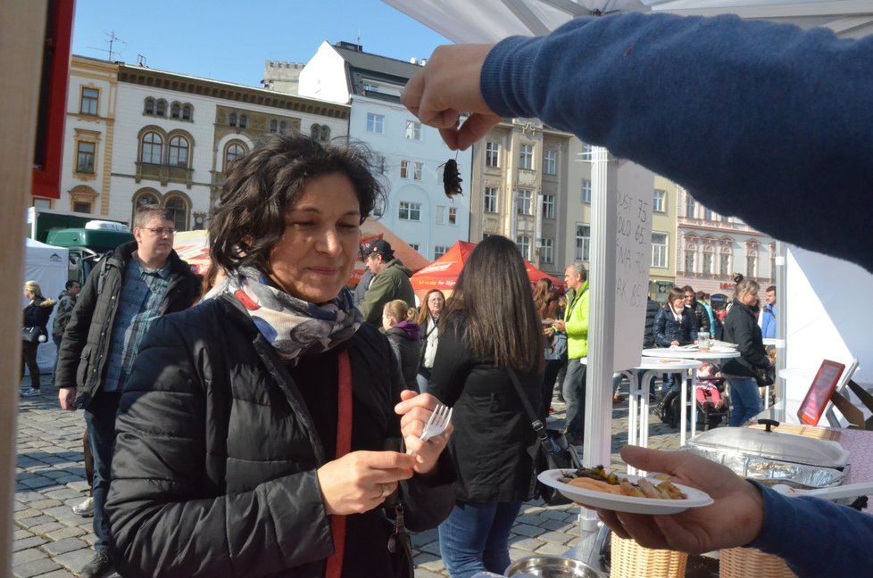 Tvarůžky se šváby či moučnými červy. I takové speciality mohli lidé ochutnat na olomouckém tvarůžkovém festivalu.