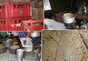 V nelegální výrobně tofu v pražské tržnici panovaly otřesné hygienické podmínky.
