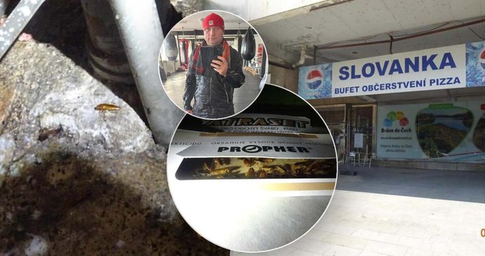 Inspekce zavřela bufet Slovanka v Ústí nad Labem