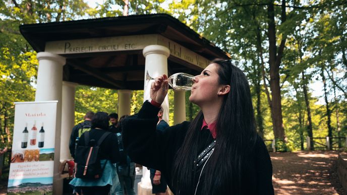 Vinná stezka kolem Lužnice spojuje víno a výlet krásnou krajinou