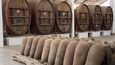 Zatímco v dřevěných sudech odpočívá víno, keramické amfory patří tradiční vinné pálence piscu