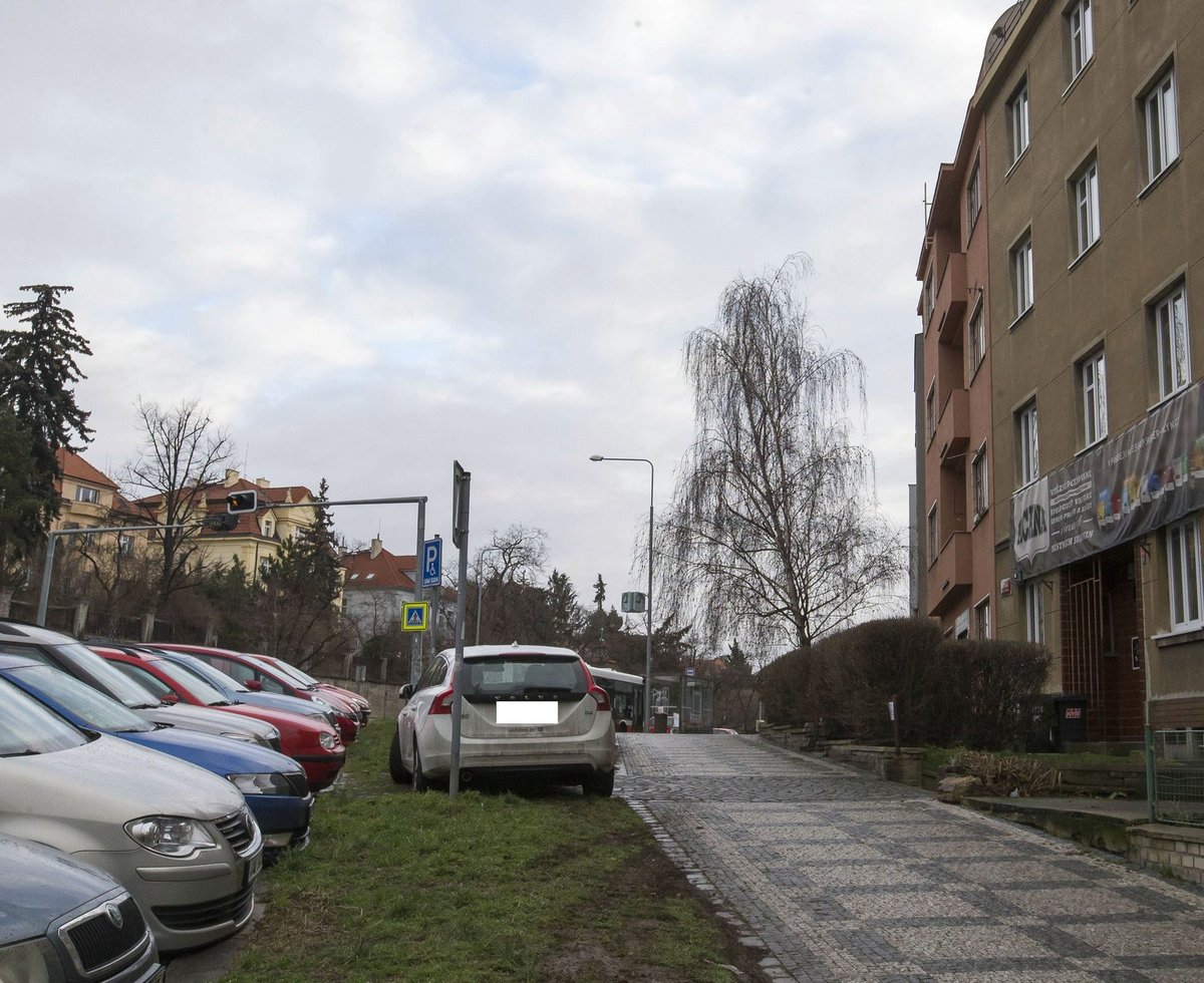 Přece nebude hledat parkování někde za rohem. Policistovi taková drzost neušla.