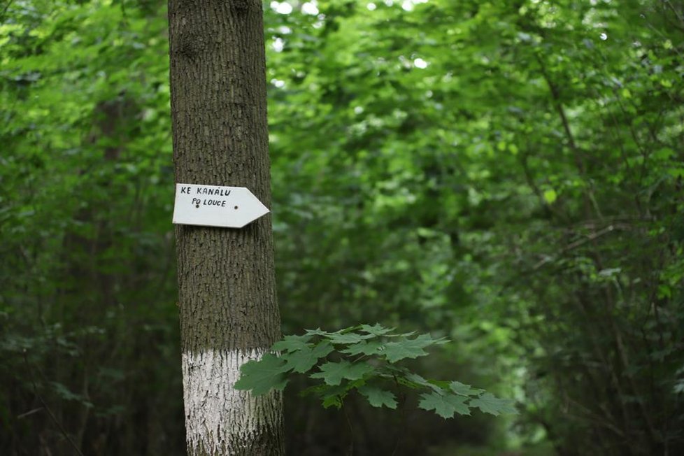 Velká pátrací akce po zmizení Tadeáška (†4měs.)