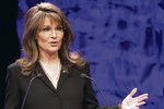 Neúspěšná kandidátka na viceprezidentku USA Palinová se rozvádí.