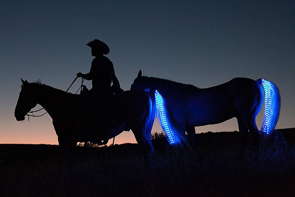 Tail Lights: Zadní světla pro koně